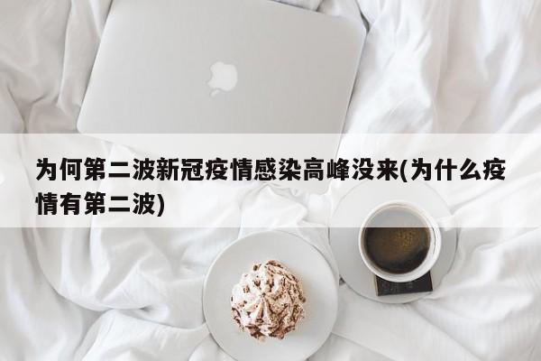 为何第二波新冠疫情感染高峰没来(为什么疫情有第二波)