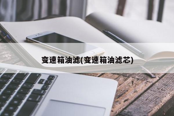 变速箱油滤(变速箱油滤芯)