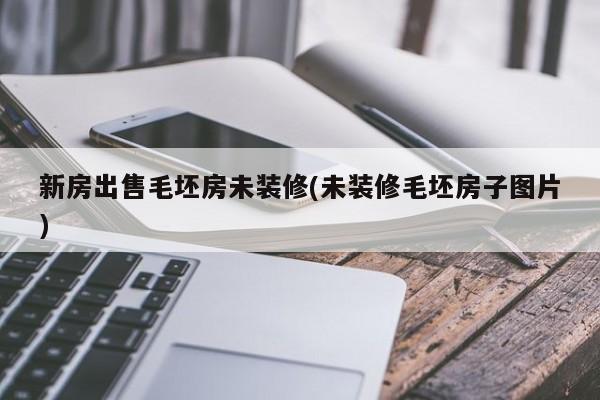 新房出售毛坯房未装修(未装修毛坯房子图片)