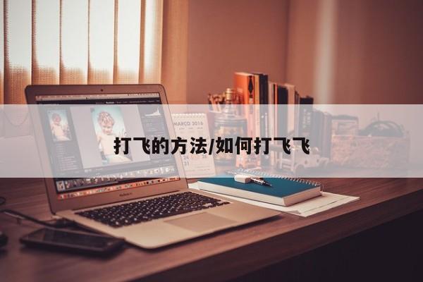 打飞的方法/如何打飞飞