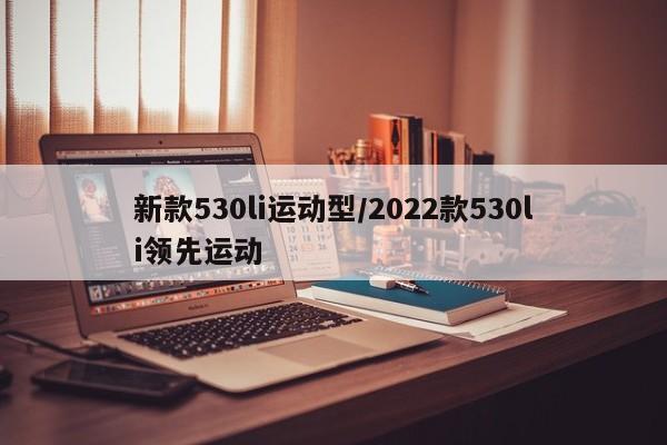 新款530li运动型/2022款530li领先运动