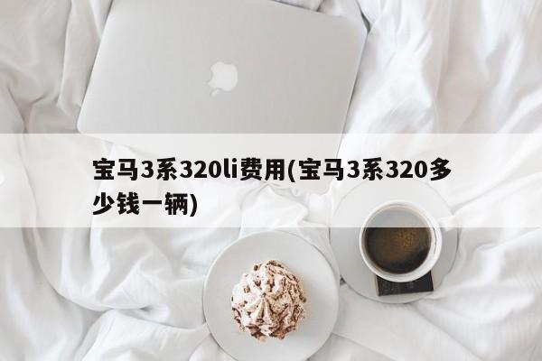 宝马3系320li费用(宝马3系320多少钱一辆)