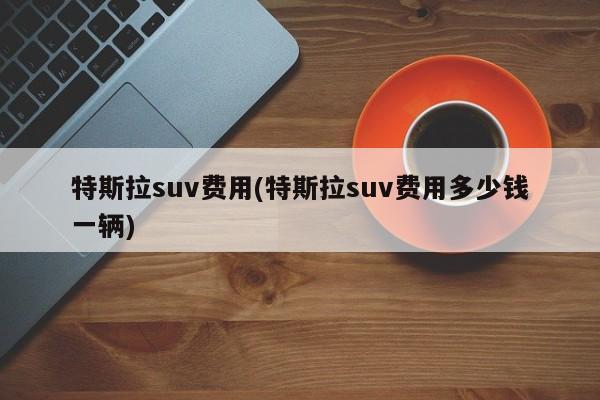 特斯拉suv费用(特斯拉suv费用多少钱一辆)
