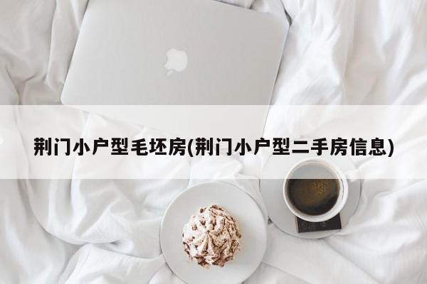 荆门小户型毛坯房(荆门小户型二手房信息)