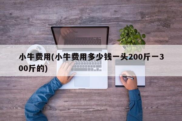 小牛费用(小牛费用多少钱一头200斤一300斤的)