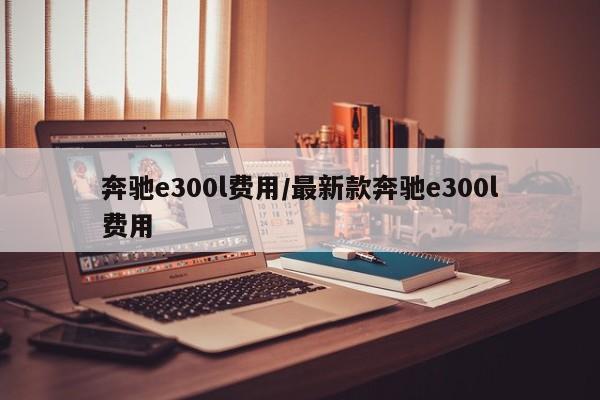 奔驰e300l费用/最新款奔驰e300l费用