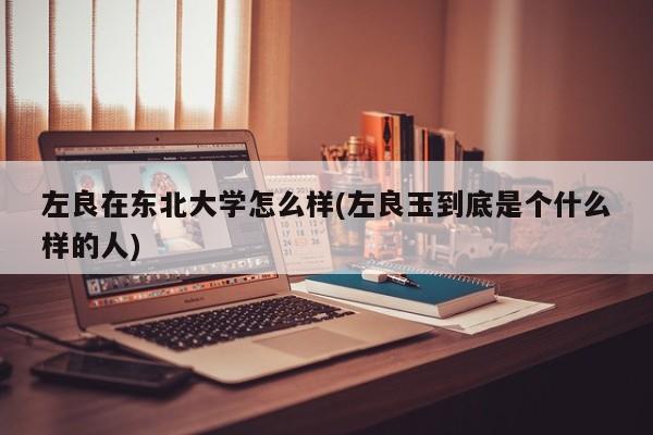 左良在东北大学怎么样(左良玉到底是个什么样的人)