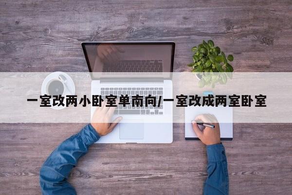 一室改两小卧室单南向/一室改成两室卧室