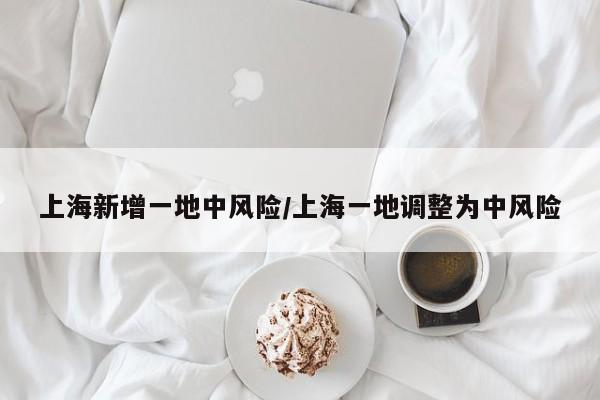 上海新增一地中风险/上海一地调整为中风险