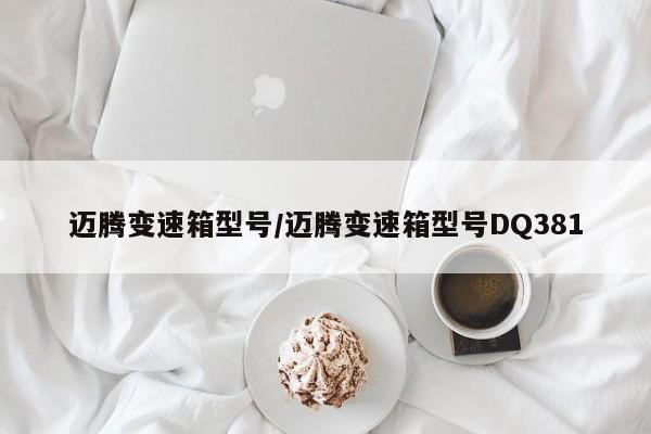 迈腾变速箱型号/迈腾变速箱型号DQ381