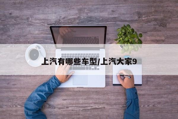 上汽有哪些车型/上汽大家9