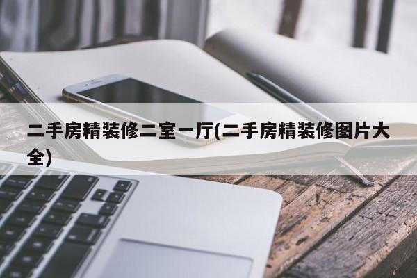 二手房精装修二室一厅(二手房精装修图片大全)