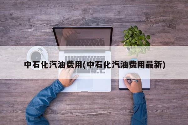 中石化汽油费用(中石化汽油费用最新)