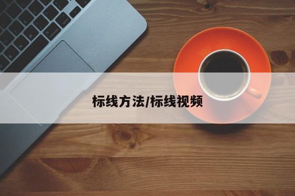 标线方法/标线视频