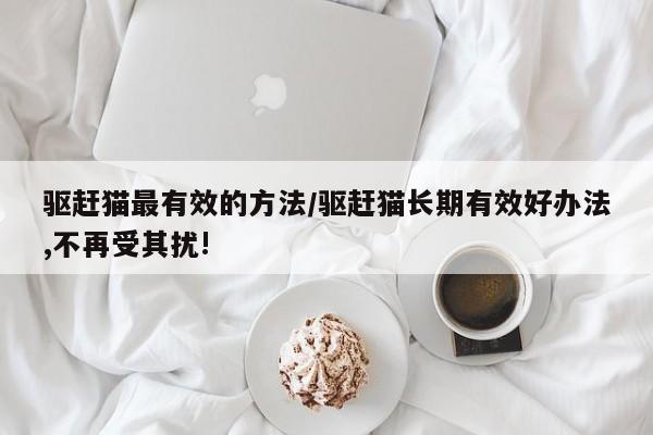驱赶猫最有效的方法/驱赶猫长期有效好办法,不再受其扰!
